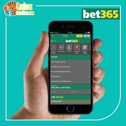 bet365-decouvrez-site-atypique-pour-paris-sportifs