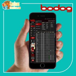 bodog-adresse-pour-parieurs-sportifs-canadiens